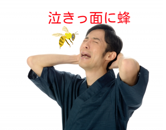 泣きっ面に蜂