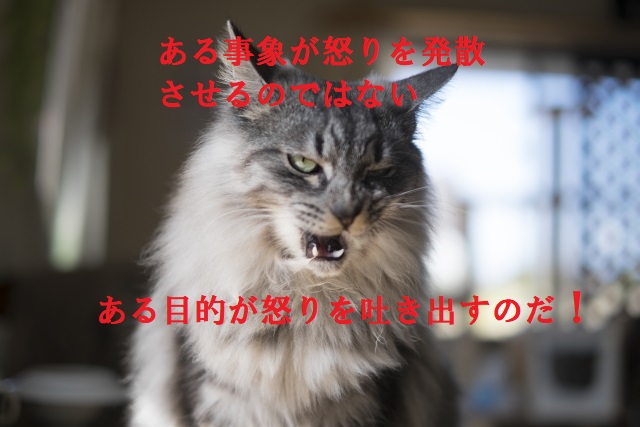 怒りの発散には目的がある