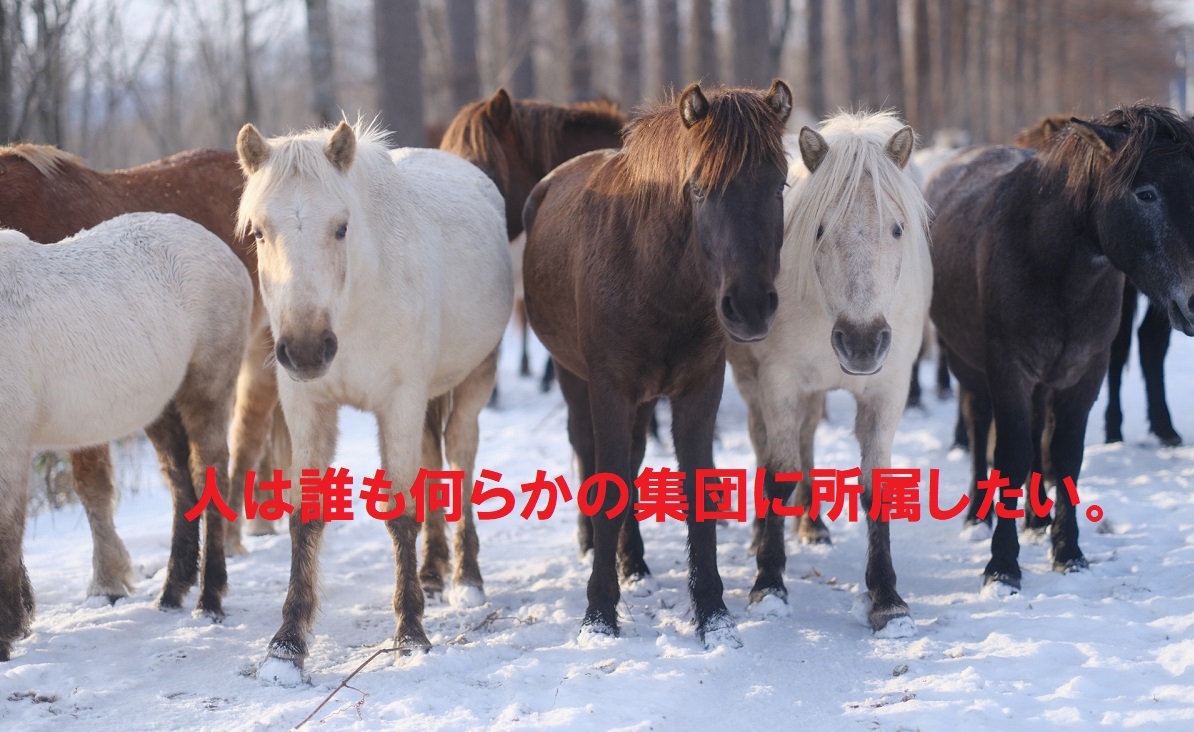 集団に所属していないと不安