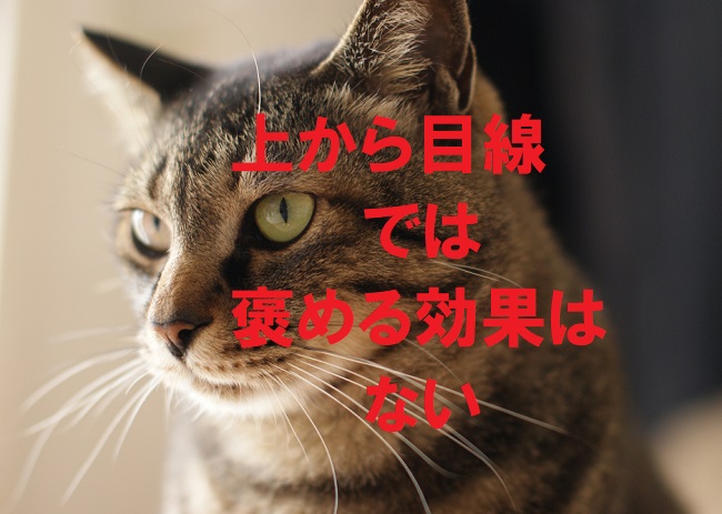 上から目線の褒め方