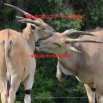 伝わるコミュニケーション