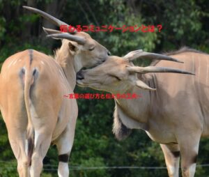 伝わるコミュニケーション