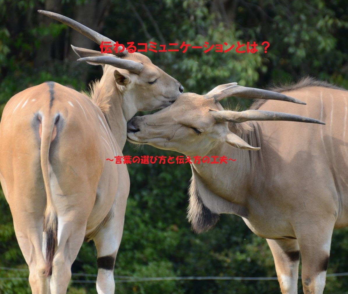 伝わるコミュニケーション