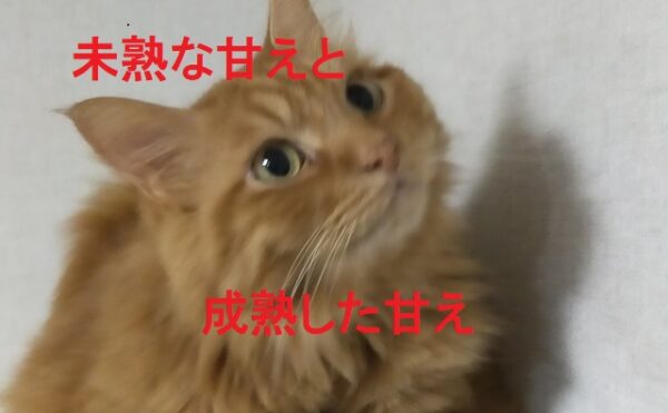 上手な甘え方