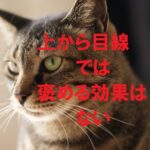 上から目線の褒め方